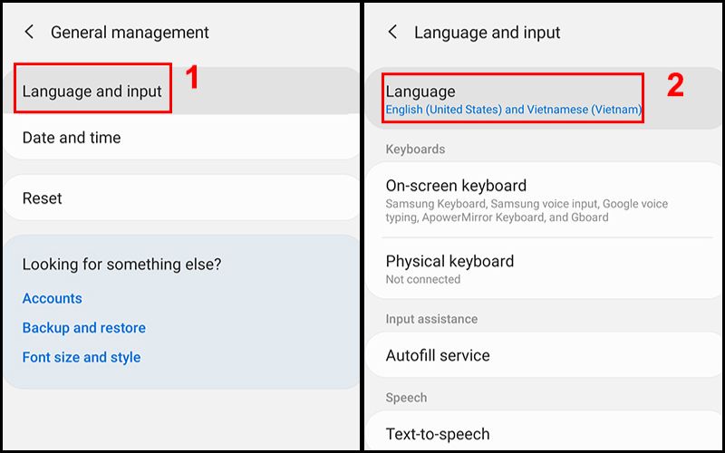 chon Language and input