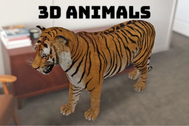 3d animals