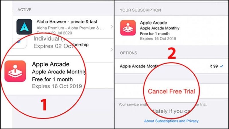 Hướng dẫn cách đăng ký Apple Arcade trên iPhone, iPad, Mac