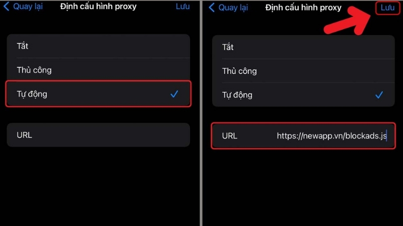 Dán đường link như hình vào mục URL