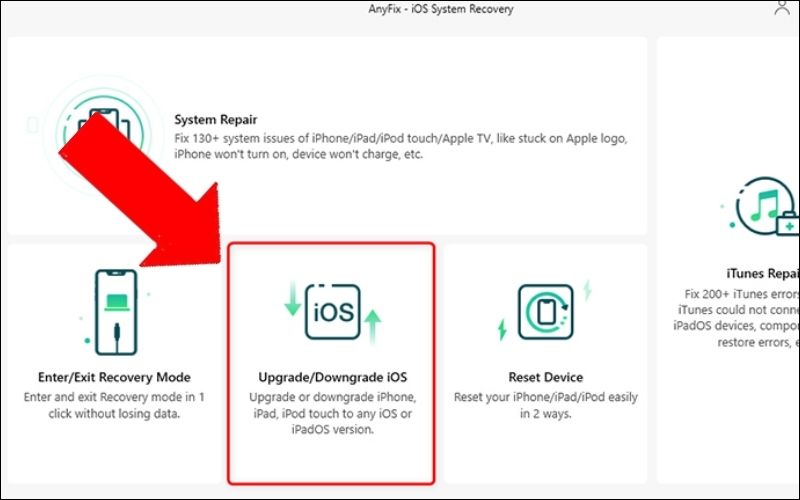 Nhấn Upgrade/Downgrade iOS