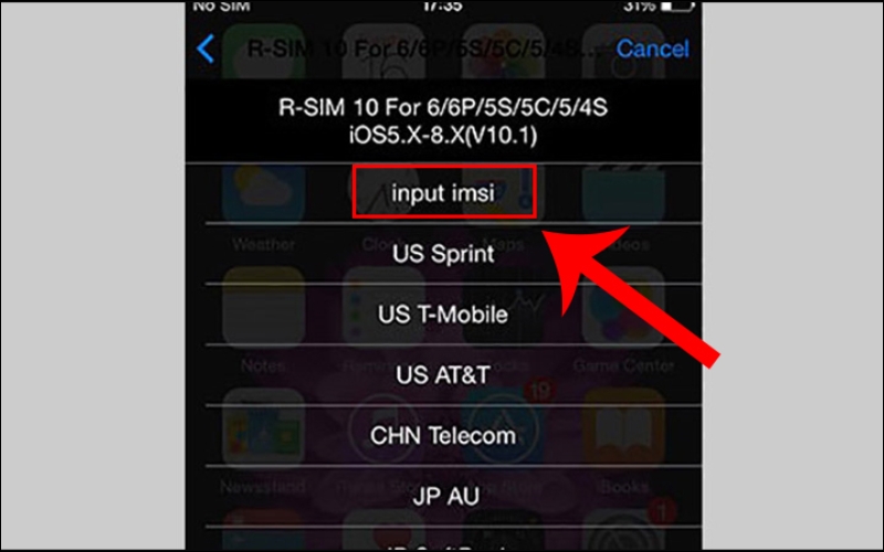 Hãy chọn input imsi 