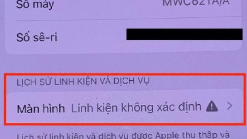 Đây là màn hình có thể là hàng lô hoặc không thay thế theo chuẩn Apple