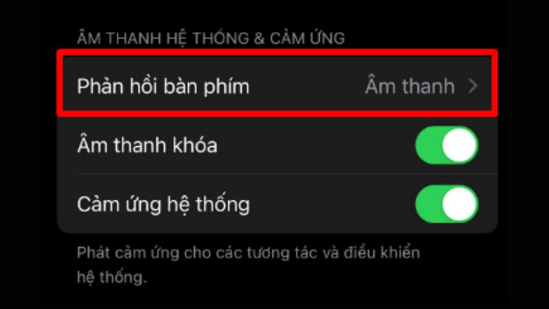 Nhấn vào mục Phản hồi bàn phím