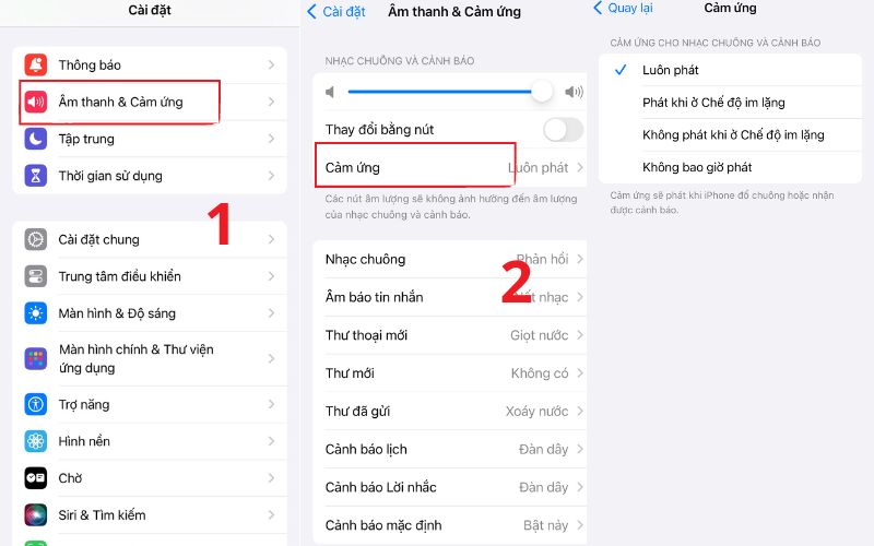 Sự cố iPhone không rung có thể do bạn đã tắt tính năng cảm ứng