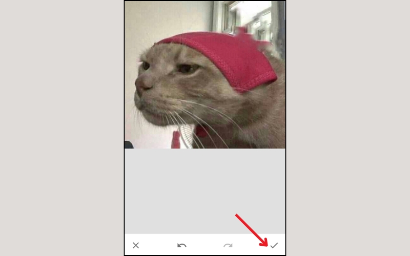 Nhấn vào dấu V ở góc dưới màn hình để lưu ảnh đã chỉnh sửa