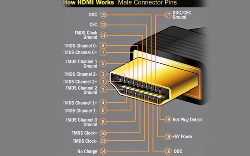 Đầu cáp HDMI được cấu tạo bao gồm 19 chân