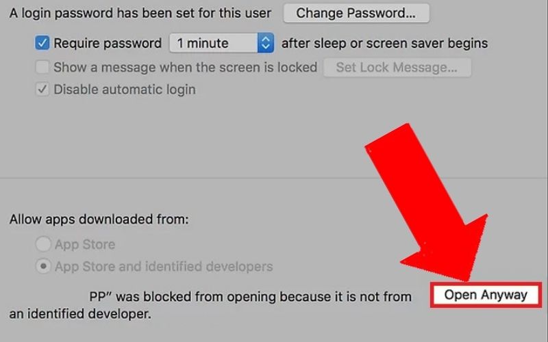 Nhấn vào Open Anyway ở góc bên phải cửa sổ