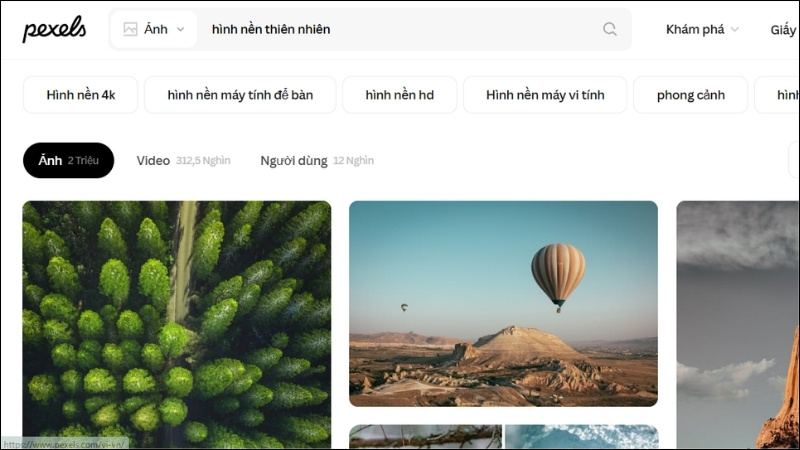 Nhập từ khóa tìm kiếm trên thanh search