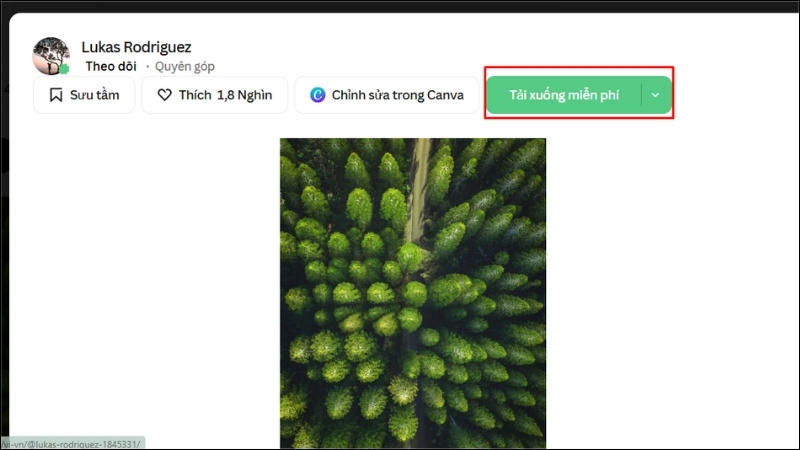  Nhấn Tải xuống miễn phí (Download) để lưu ảnh về