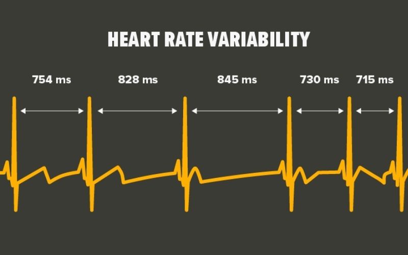 hrv la gi