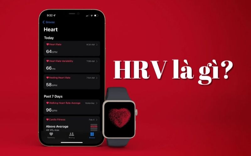 hrv la gi