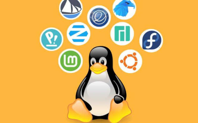 Nên sử dụng bản phân phối nào của hệ điều hành Linux?