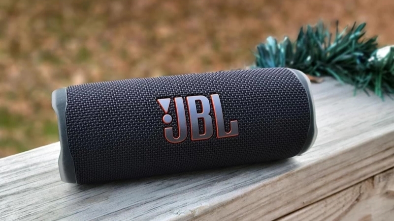 Loa JBL Flip 6 co tot khong