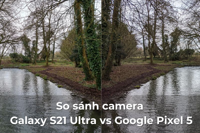 so sanh camera galaxy s21 ultra voi google pixel 5