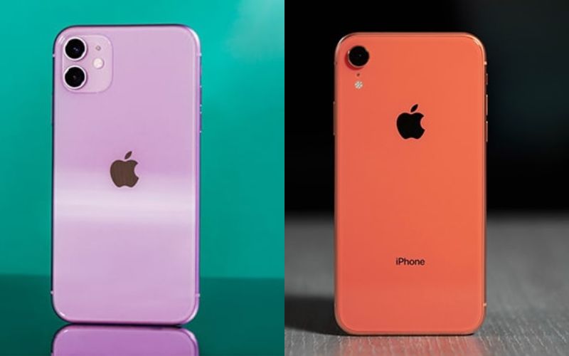 iphone 11 và iphone xr đều có thiết kế tương đồng