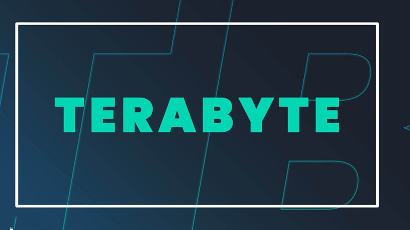 Terabyte (TB) là một đơn vị đo lường dung lượng lưu trữ dữ liệu trong máy tính