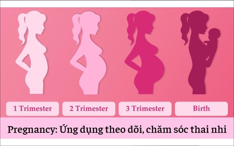 Pregnancy là một trong những ứng dụng theo dõi thai kỳ phổ biến