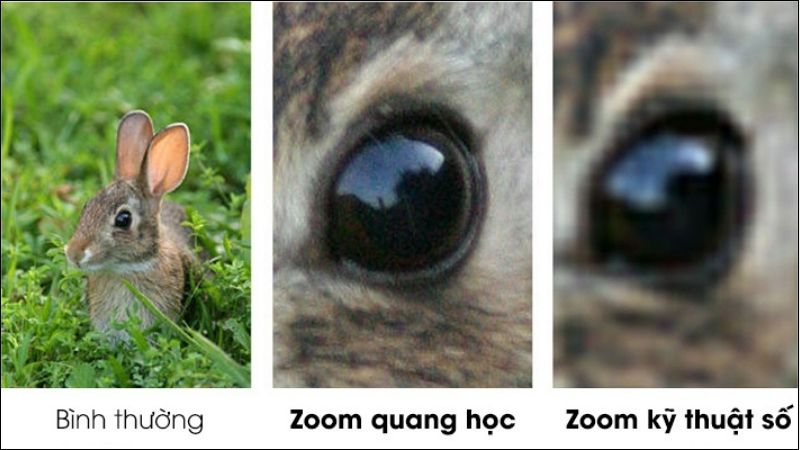 So sánh Zoom quang học với Zoom kỹ thuật