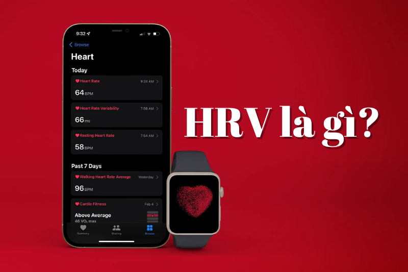 HRV là gì? Cách theo dõi Heart Rate Variability trên iPhone