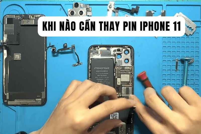 Khi nào cần thay pin iPhone 11? Dùng bao lâu thì thay?