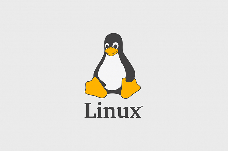 Linux là gì? Ưu, nhược điểm và những điều cần biết về Linux