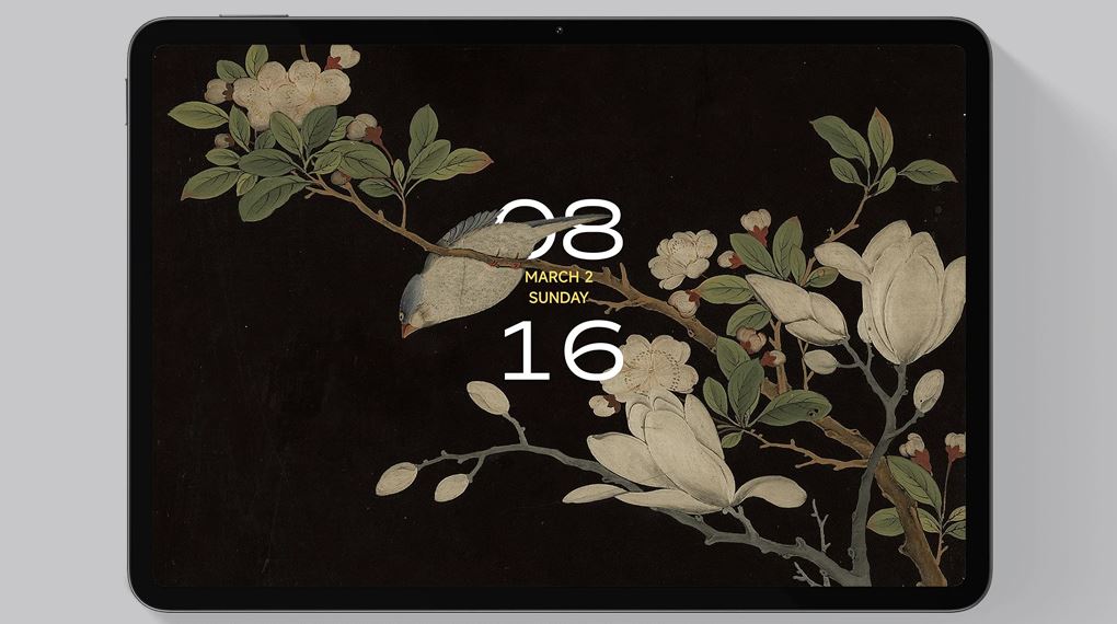 xiaomi pad 7 - màn hình